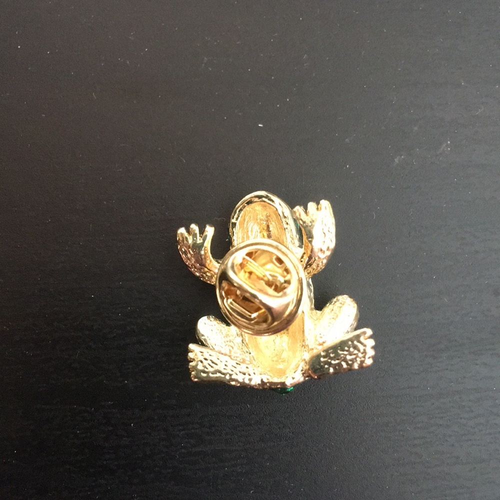 Frog Pin - Picture 4 of 5